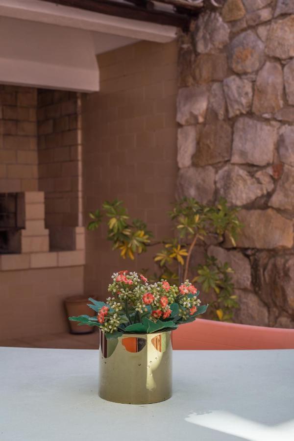 Casa Jacaranda Silves